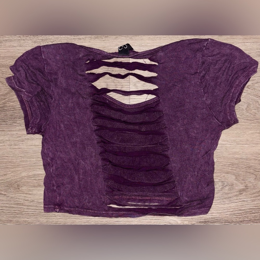 Windsor Purple Distressed Crop Top